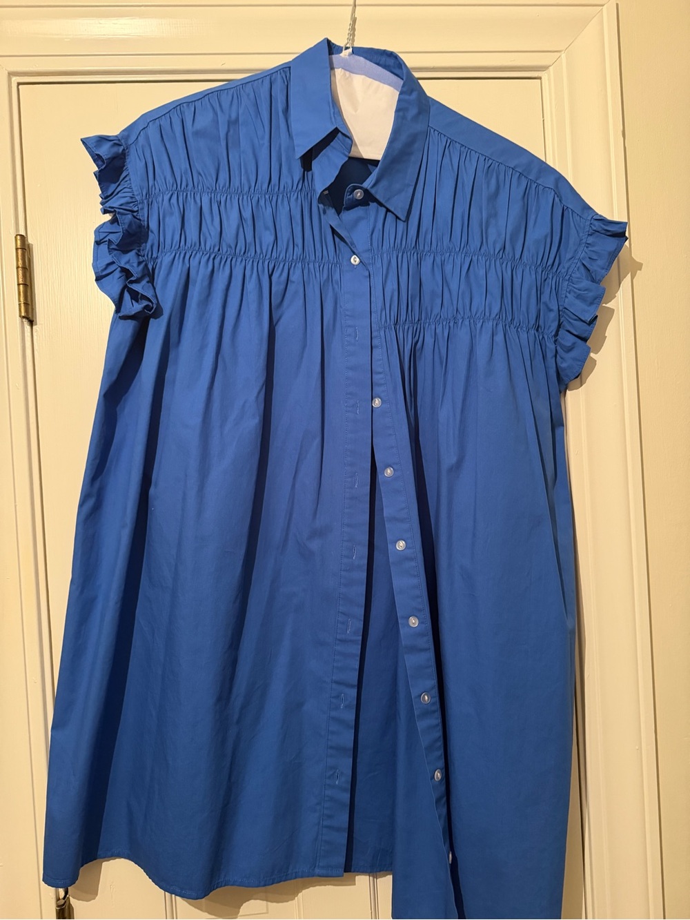 Blue Ruffle-Sleeve Button-Front Women’s dress